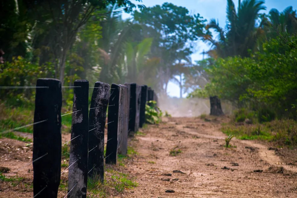 Reprodução - Marcio Isensee e Sá/Oeco