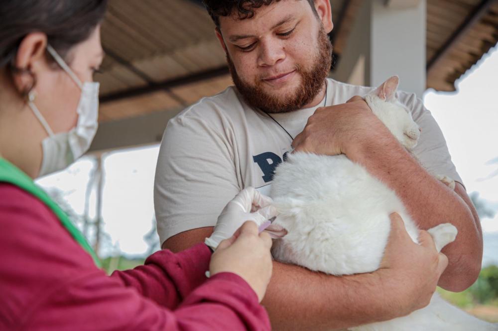 Reprodução - Jainni Victória