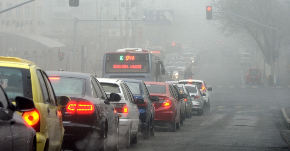 Reprodução - Internet