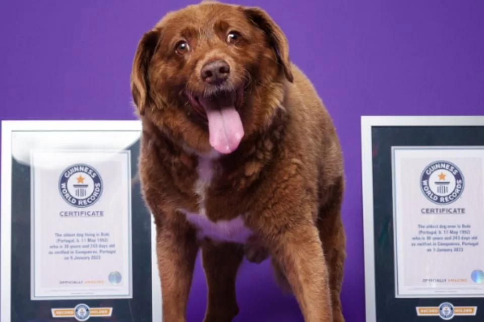 Reprodução - Instagram