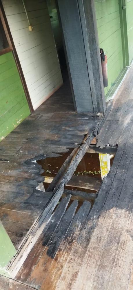 Reprodução - ICMBIO