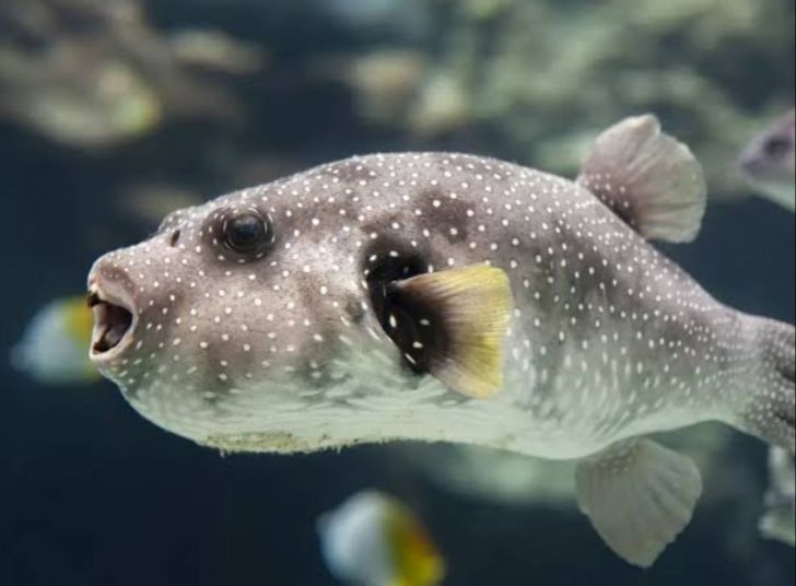 Reprodução - Imagem ilustrativa