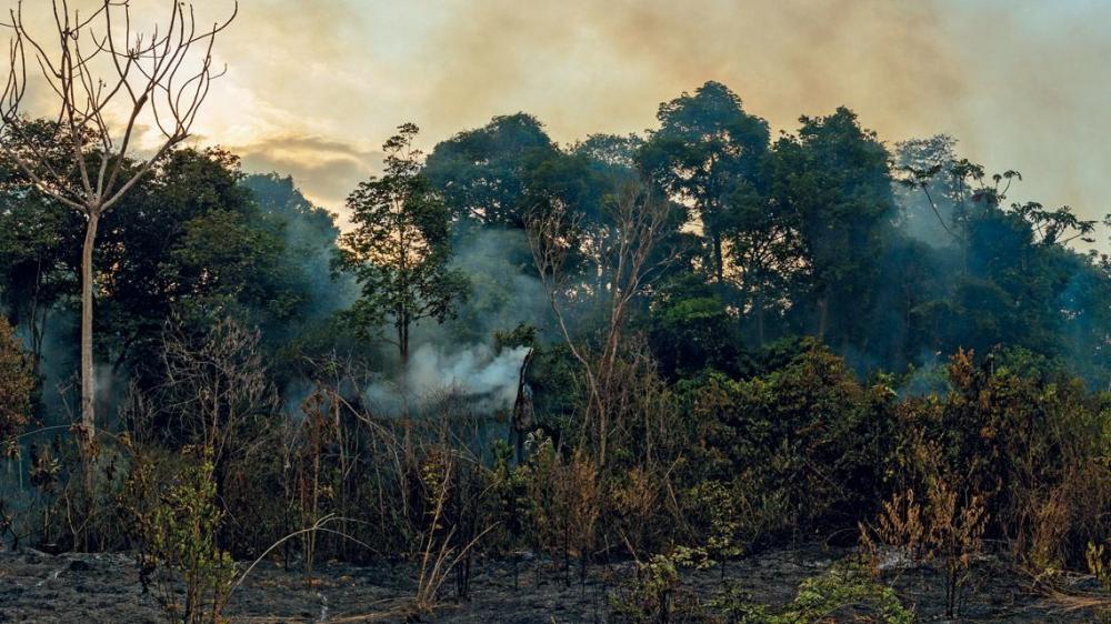 Reprodução - Redes Sociais