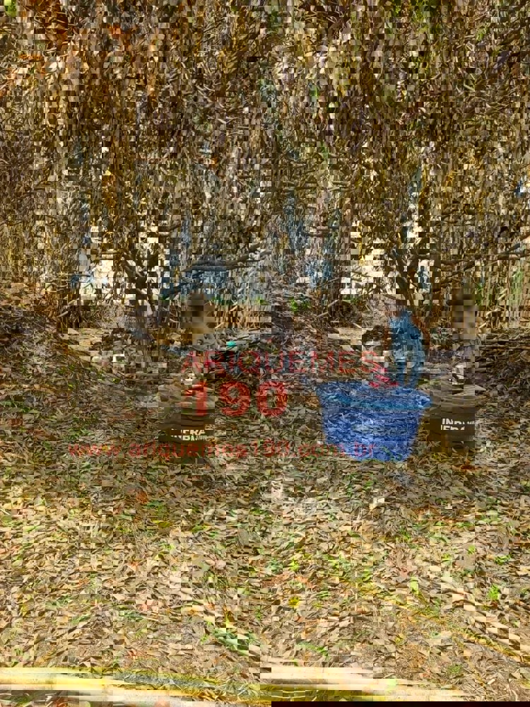 Reprodução - Ariquemes 190