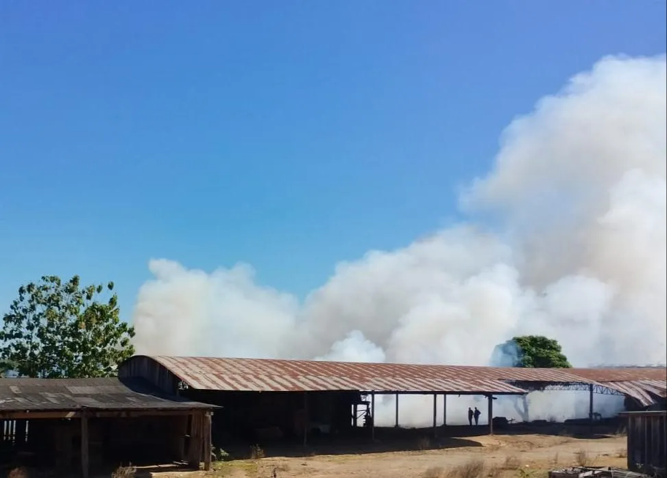 Corpo de Bombeiros de Buritis combate incêndio de grande proporção em vegetação próxima a madeireira | Foto: Reprodução