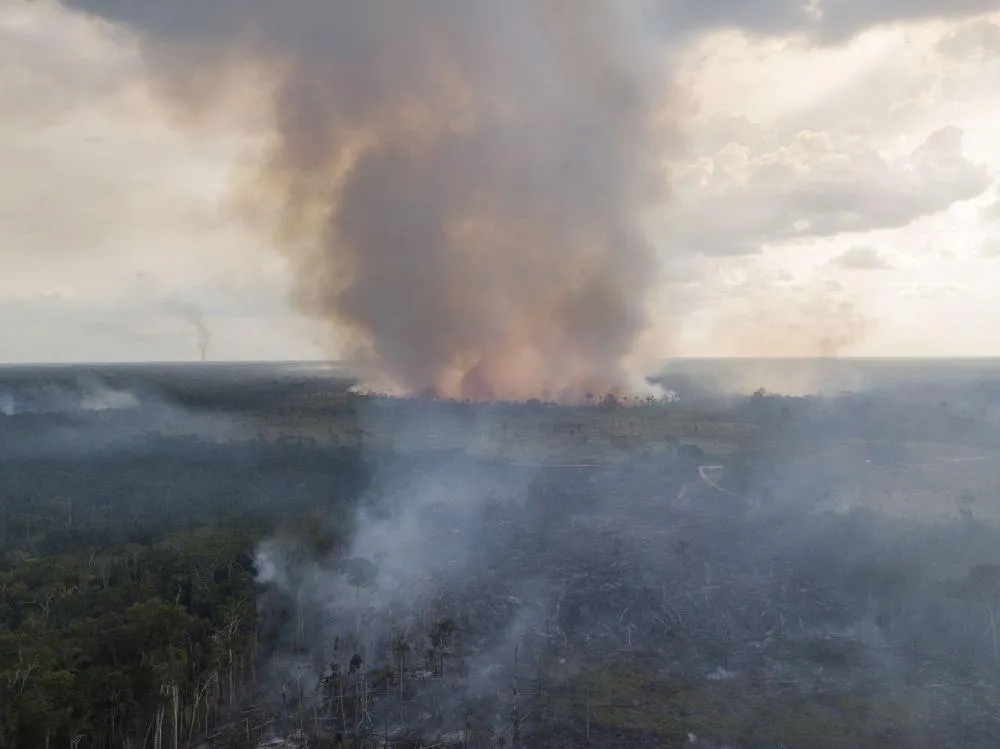 Queimada em Rondônia é a principal causadora da insalubridade do ar | Foto: Reprodução