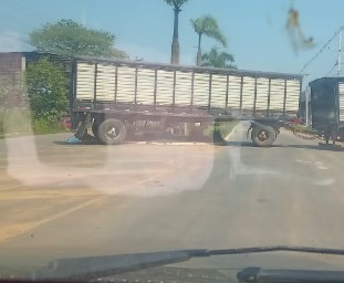 Reprodução (Whatsapp)