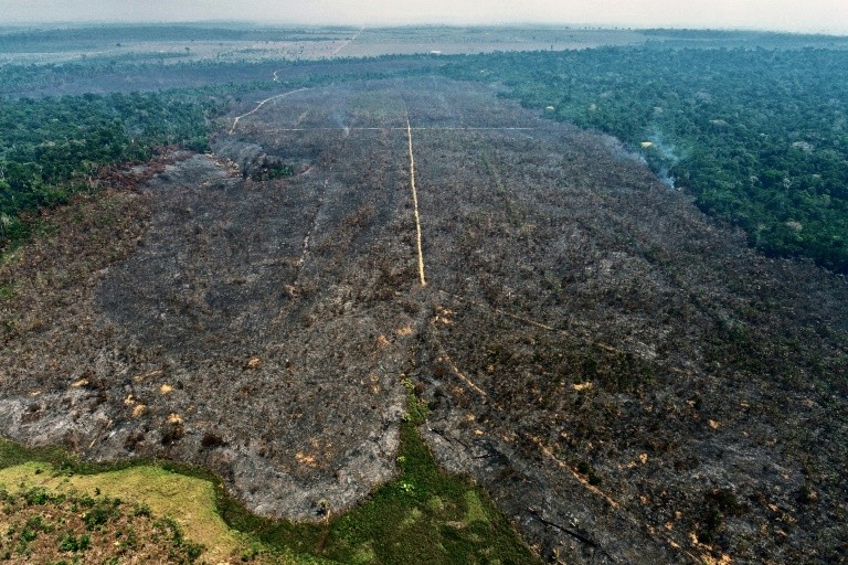 Combate à Destruição de Floresta na Reserva Rio Preto Jacundá