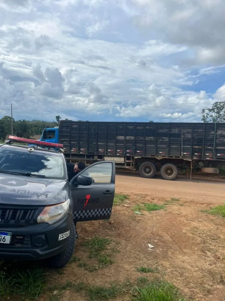 PMRO conseguiu interceptar o caminhão que levaria o gado da vítima para Jacinópolis, distrito de Nova Mamoré