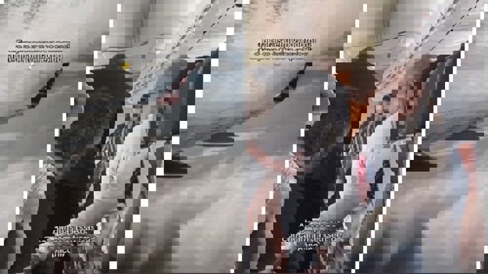 Divulgação Reprodução/TikTok/@sacharello