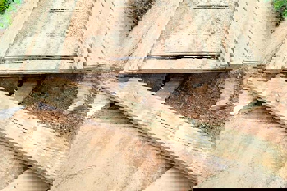 Reprodução - Divulgação