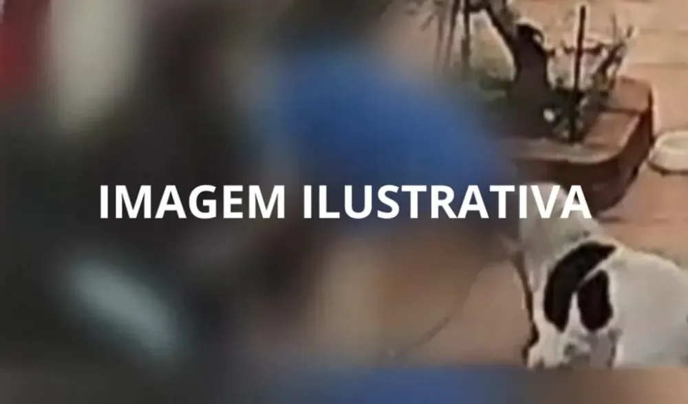 (Imagem Ilustrativa)