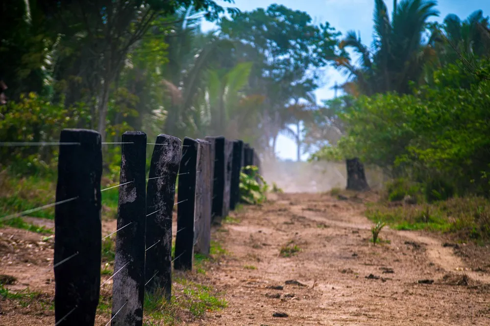 Alívio Imediato: STF paralisa ações de desocupação e multas contra produtores da RESEX Jaci-Paraná