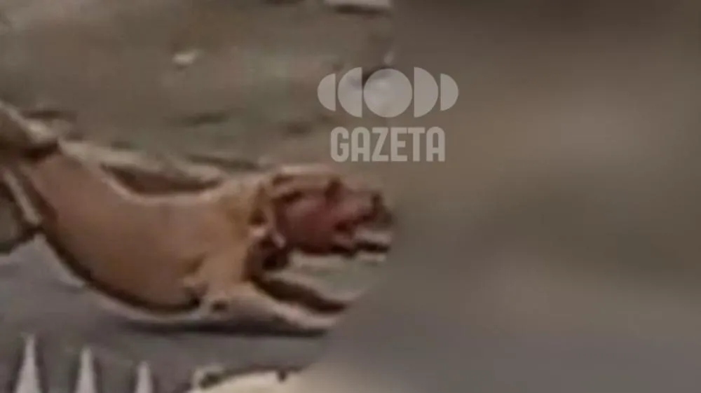 (Imagem Ilustrativa)