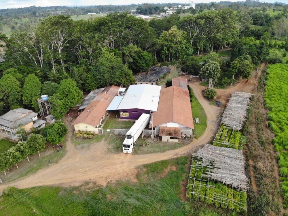 Capital do Açaí: Dallan Açaí supera 200 toneladas enviadas para fora de Rondônia nos últimos meses