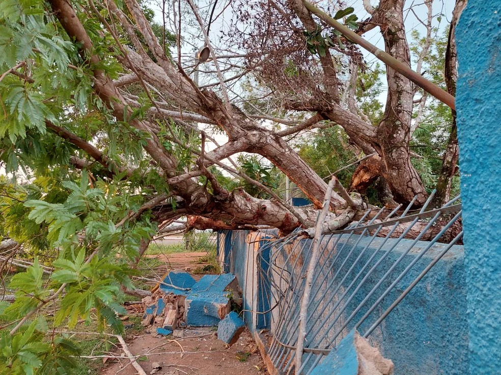 Reprodução - Késia Fernanda/Rede Amazônica