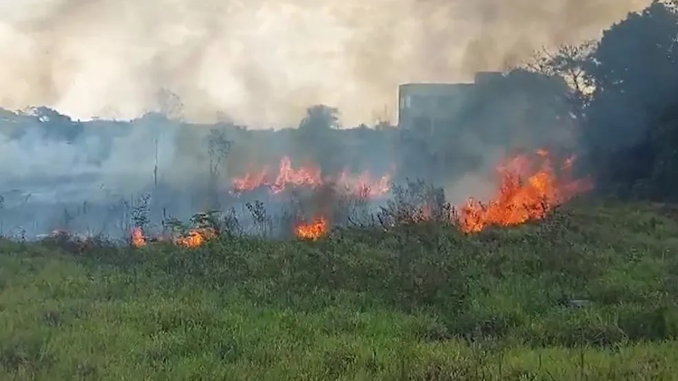 Reprodução - Rede Amazônica