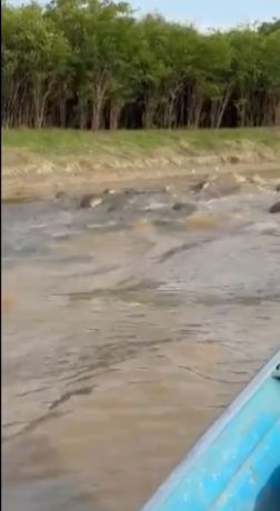 Reprodução - Redes Sociais