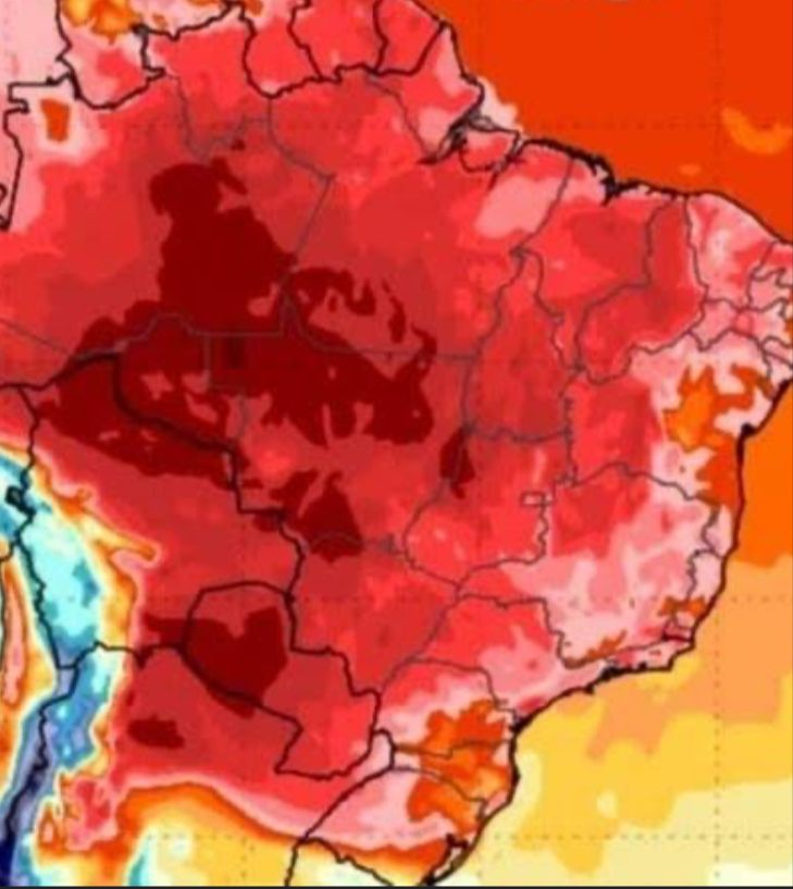 Reprodução - Nexo Jornal